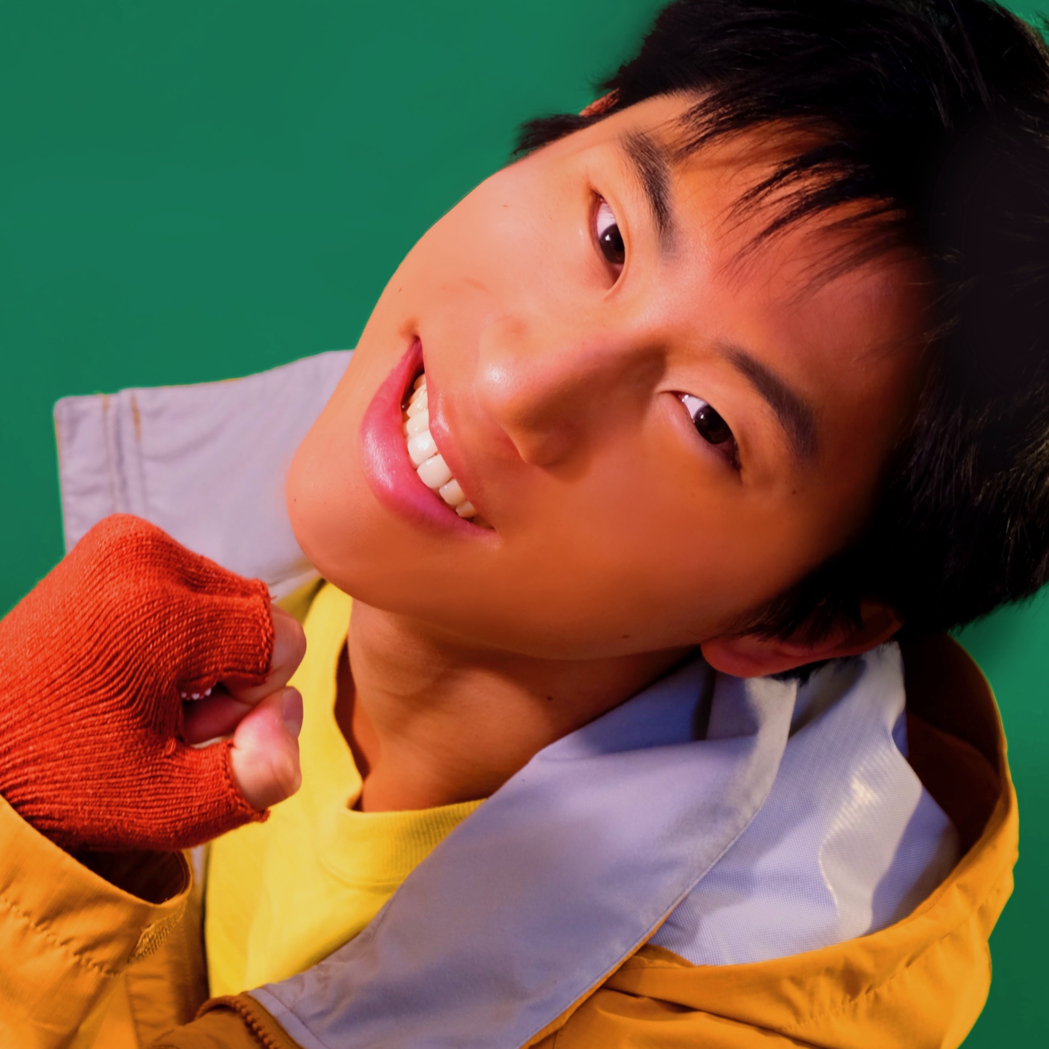 Album artwork for The USA Collection by isid or